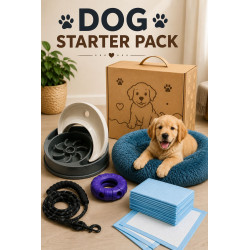 DOG STARTER PACK – wszystko, czego potrzebuje Twój pies!